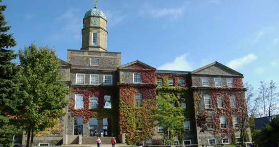 Best University / College