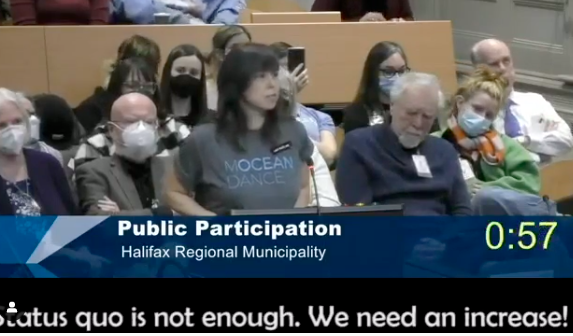 A screen cap of HRM council last Friday, when over 30 citizens showed up to speak against a proposed 55% cut to arts funding in the upcoming city budget.