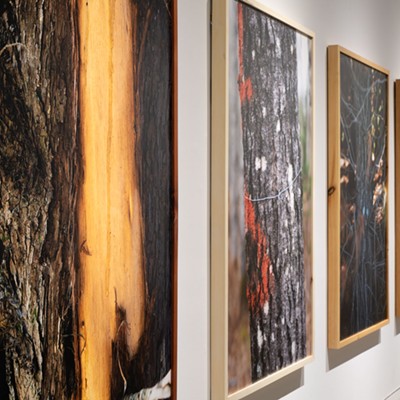 Two years after Halifax tree-girdling incident, art show reminds us of ‘importance of human relationships with trees’ (7)