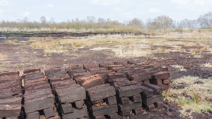 For climate’s sake, save the peat!