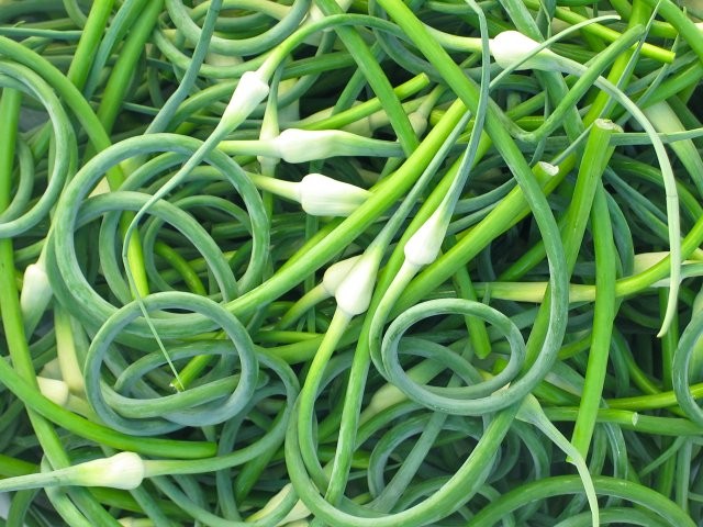 Sweet scapes