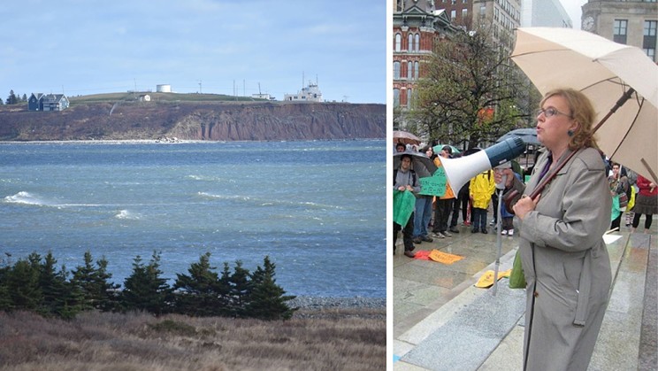 Federal Green Party leader Elizabeth May has co-signed a Parliamentary petition to halt development at Hartlen Point in Eastern Passage until Ottawa commits to an "independent impact assessment" of the DND's plans for a warship testing site.