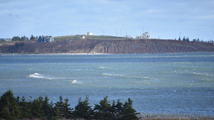 Hartlen Point residents push for renewed, independent impact assessment of DND site (2)