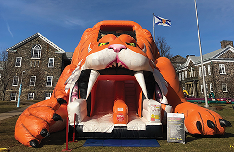 Inflatable tigers need not wear a mask. What would be the fun in that?