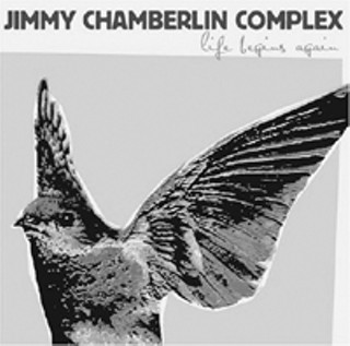 Jimmy Chamberlin Complex