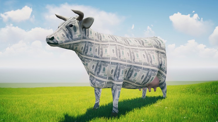 Milking the Student Cash Cow