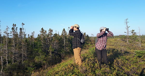 Bird research at Owls Head Provincial Park. NICOLE TOMASIC