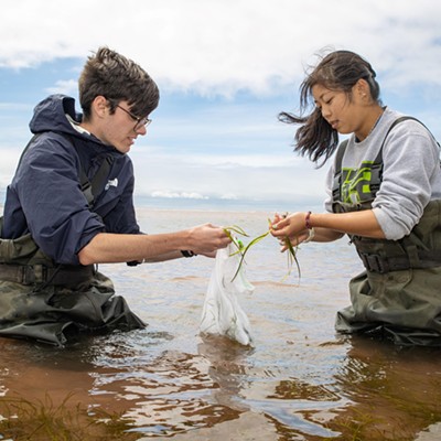 Restoring an unsung hero: How eelgrass is making its comeback in Nova Scotia