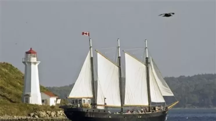 Image: Silva&rsquo;s sweet summer sails