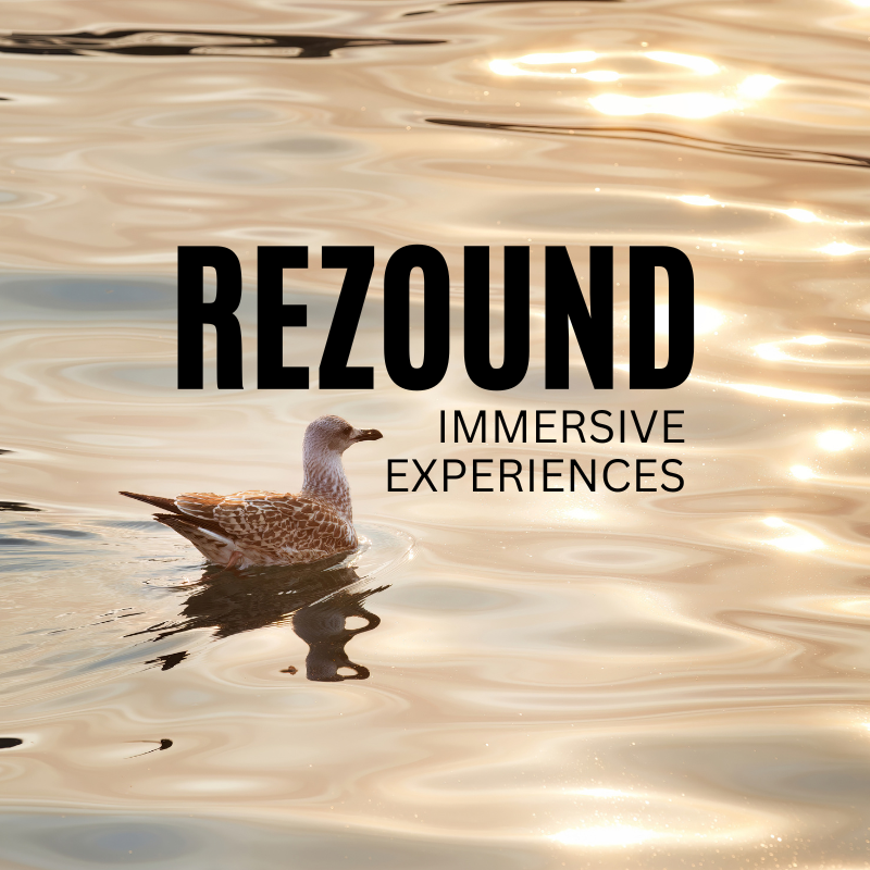 Rezound: Immersive Experiences is written above the ocean