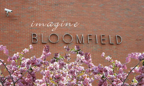 Time to imagine Bloomfield