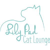 Lily Pad Cat Lounge is opening  in Dartmouth