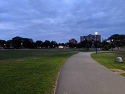 Celebrate happy hour at the Halifax Common with all your friends via Zoom