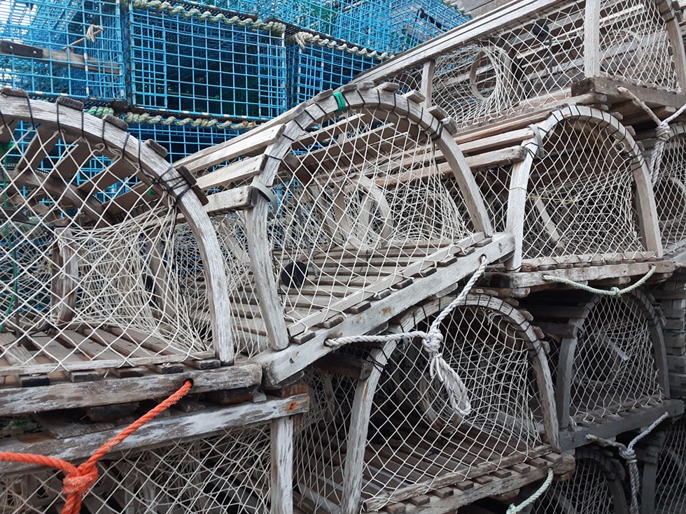 Livelihood lobster fishing cast adrift: How DFO’s inaction has history repeating itself