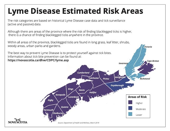 Ticks are “coming back with a vengeance” in Nova Scotia