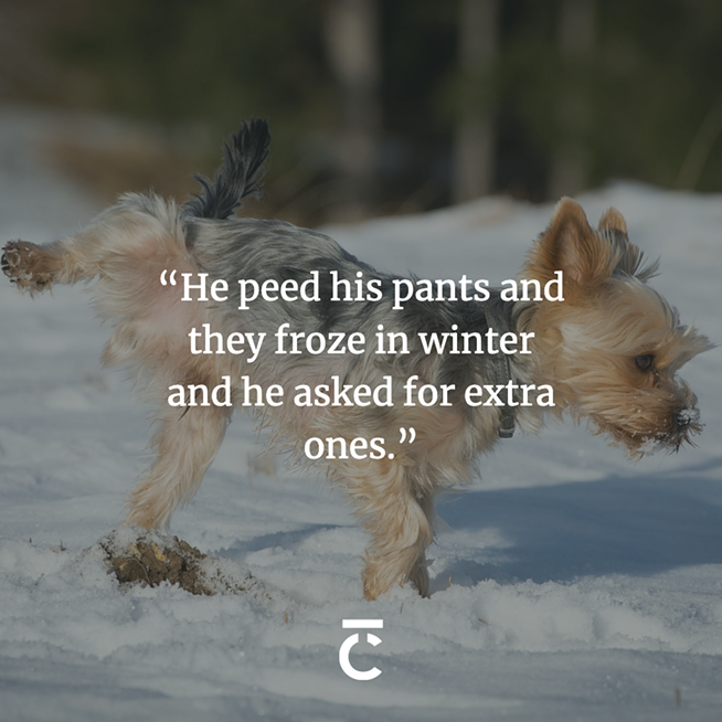 "He peed his pants and they froze in winter and he asked for an extra pair." A dog pees in the snow. The Coast's 2023 Sex + Dating Survey.