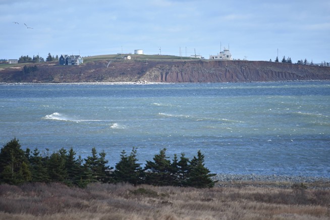 Here’s what an environmental report says about the DND’s Hartlen Point plans
