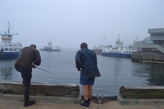 Squid goals: urban fishing in Halifax