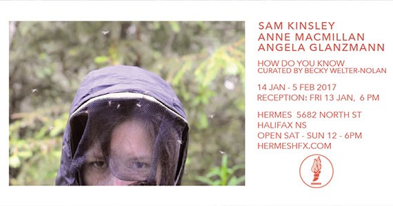 REVIEW: How Do You Know, Angela Glanzmann, Sam Kinsley and Anne Macmillan