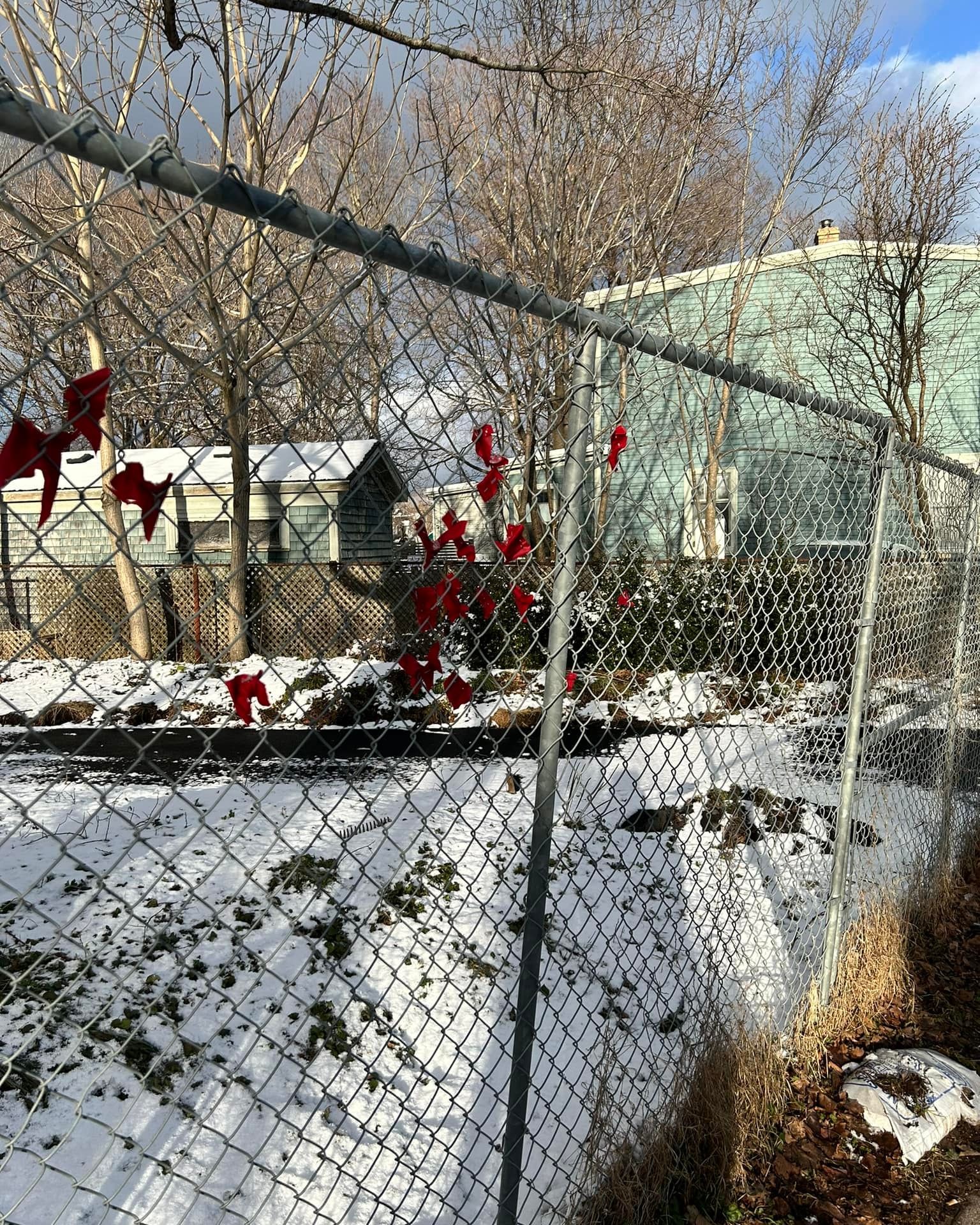 Santa can we pull your - Invisible Fence Brand Nova Scotia