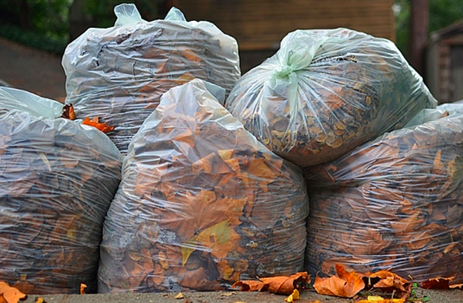 Halifax OKs plastic bags for leaf collection after paper bag