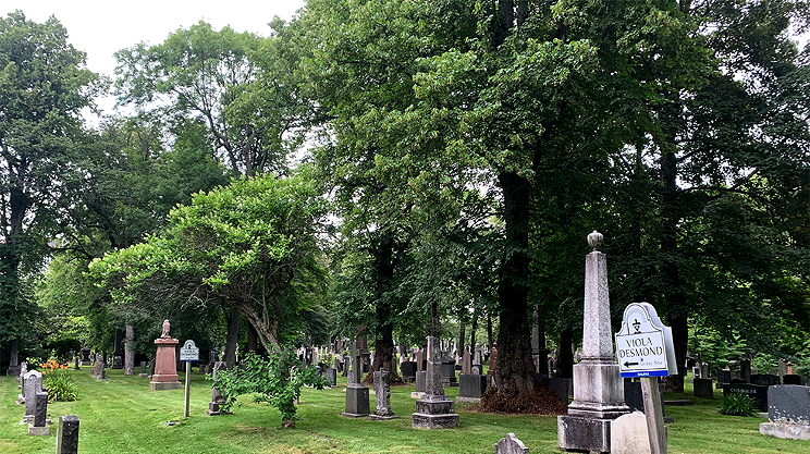 Viola Desmond and Alexander Keith’s graveyard clears heritage hurdle
