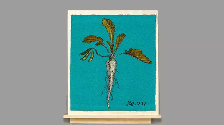 Image: Visual arts review: Jane Kidd&rsquo;s Curious and group show Material Remains at MSVU