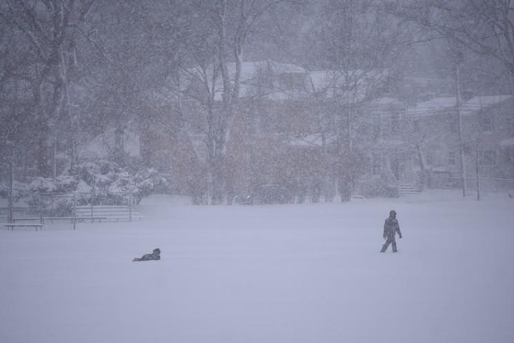 A dog and its owner go for a snowy walk through the Halifax Common.